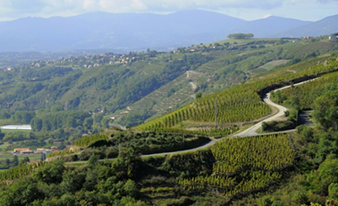 Domaine de bonserine