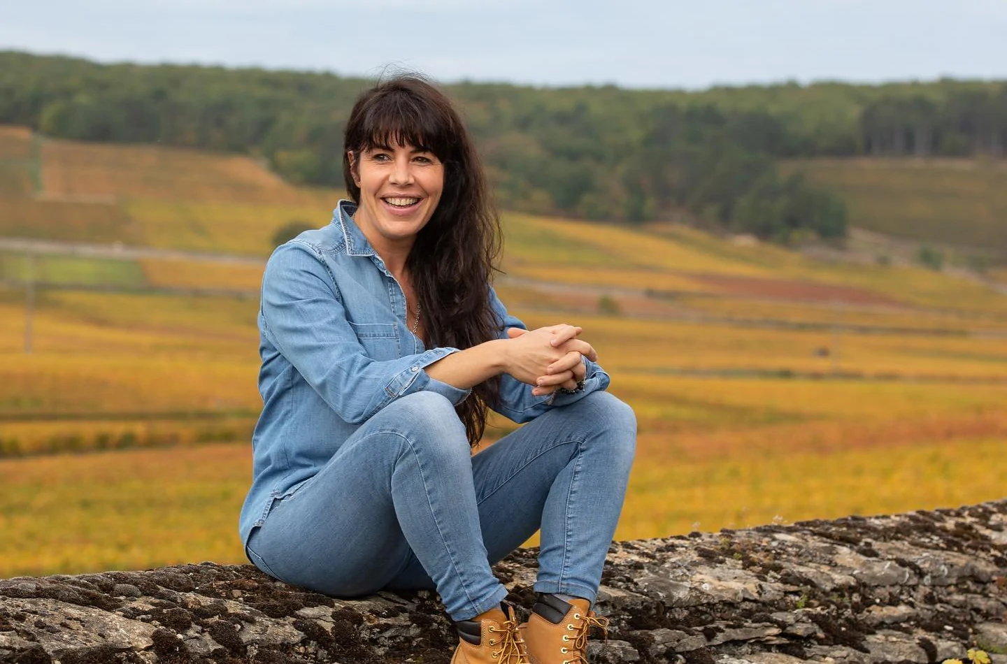 Domaine Compte Senard