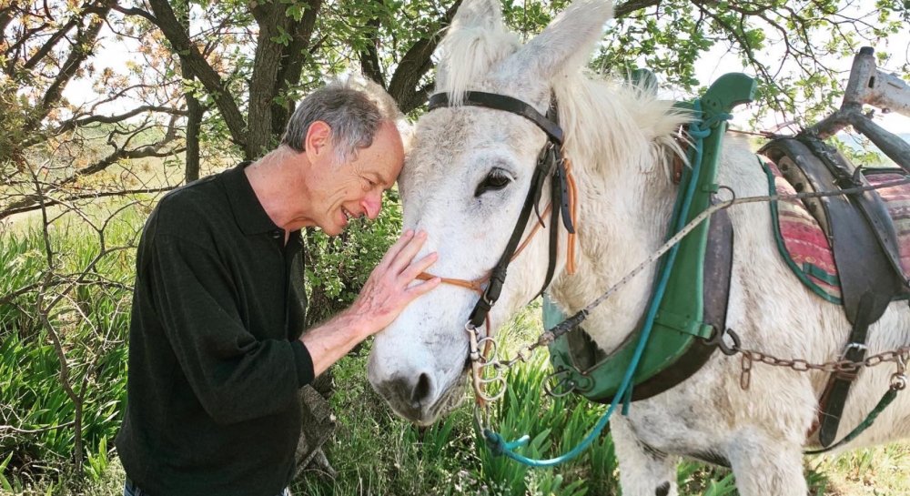 Domaine Les Aurelles
